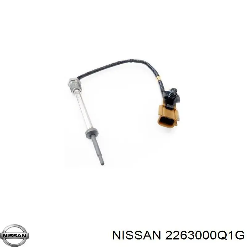 2263000Q1G Renault (RVI) 