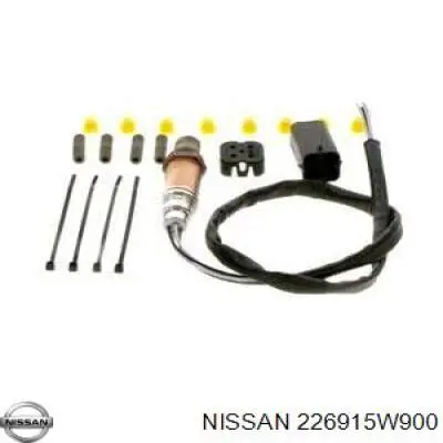  Nissan/Infiniti 226915W900