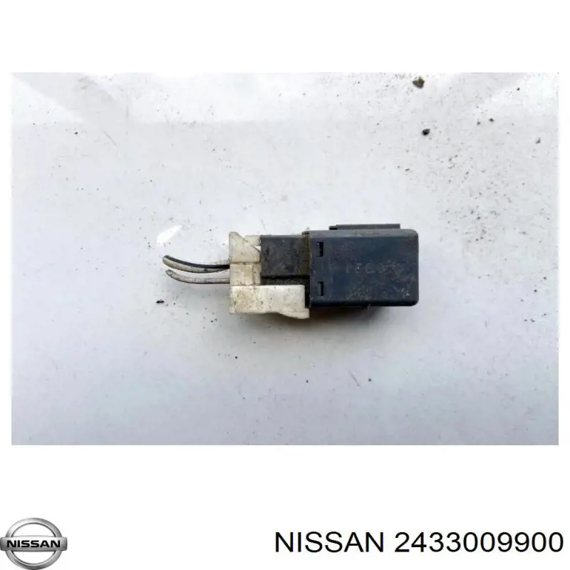  2433009900 Nissan