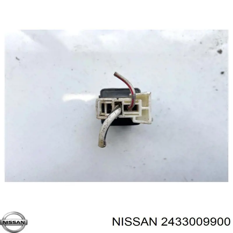2433009900 Nissan/Infiniti 