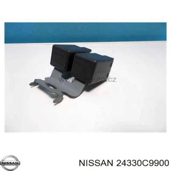  24330C9900 Nissan