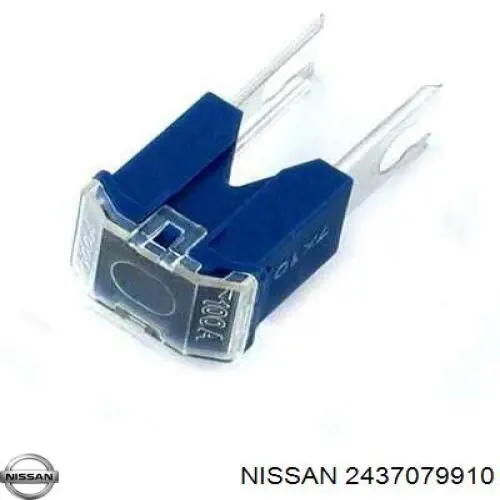 2437079910 Nissan/Infiniti 