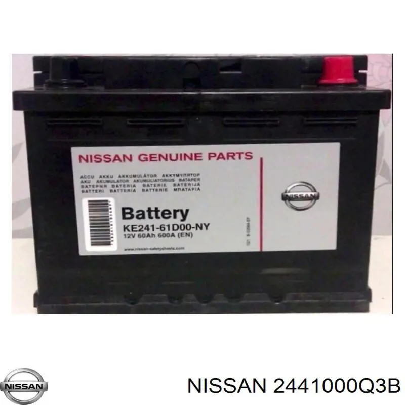  2441000Q3B Nissan