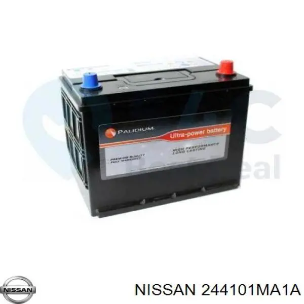  244101MA1A Nissan