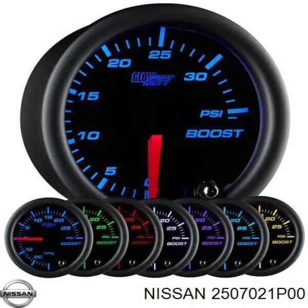  2507021P00 Nissan