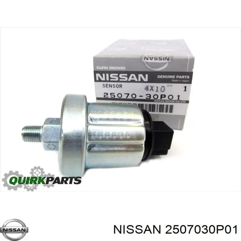  2507030P01 Nissan/Infiniti