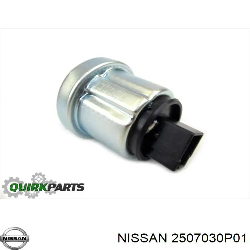 2507030P01 Nissan/Infiniti 
