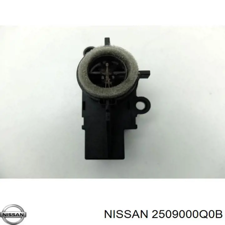  Renault (RVI) 2509000Q0B ціна, від 57.66 USD