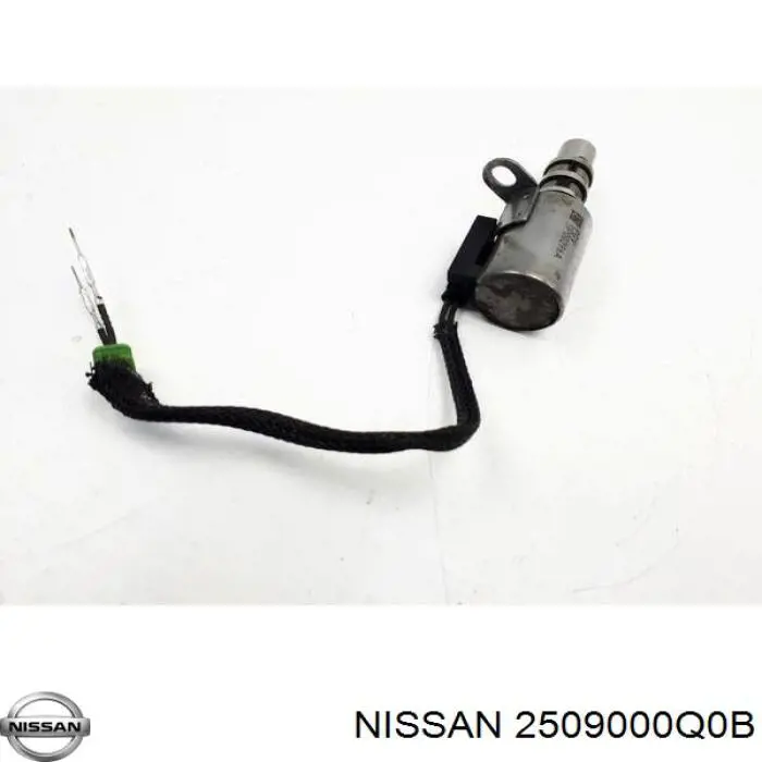 Купити 2509000Q0B Renault (RVI) 