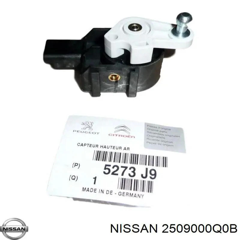  2509000Q0B Renault (RVI)