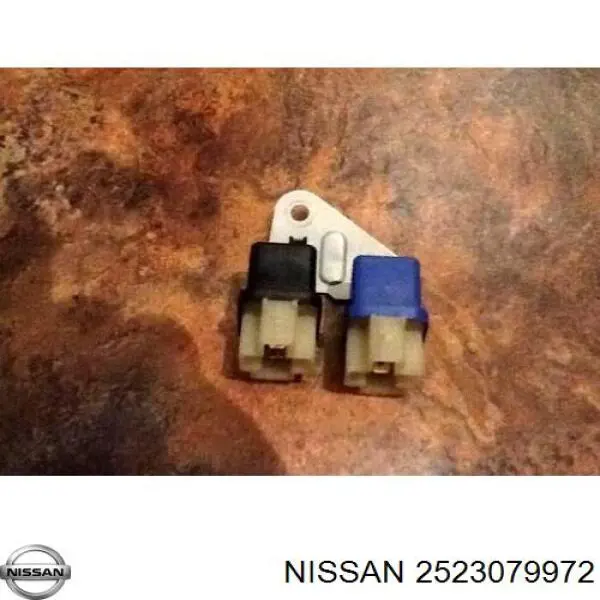  2523079972 Nissan