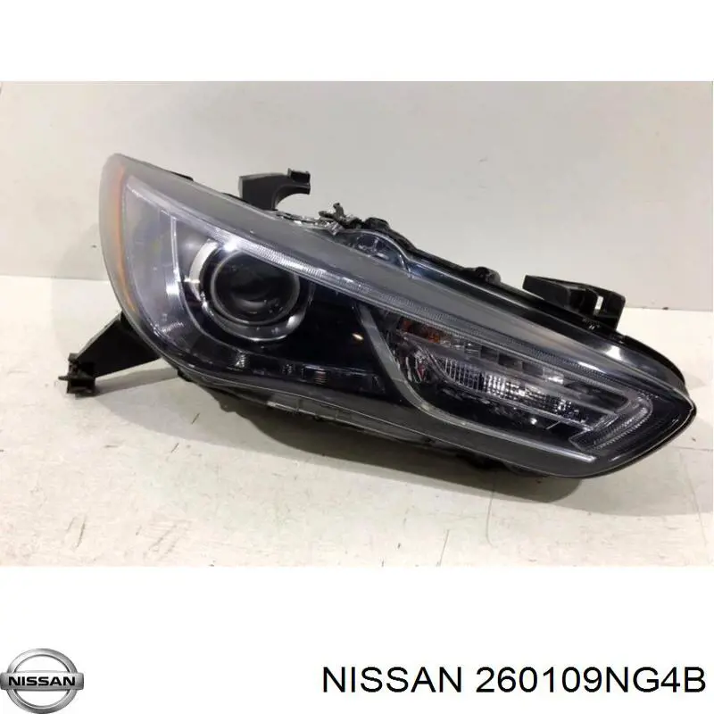 260109NG4B Nissan/Infiniti Фара правая