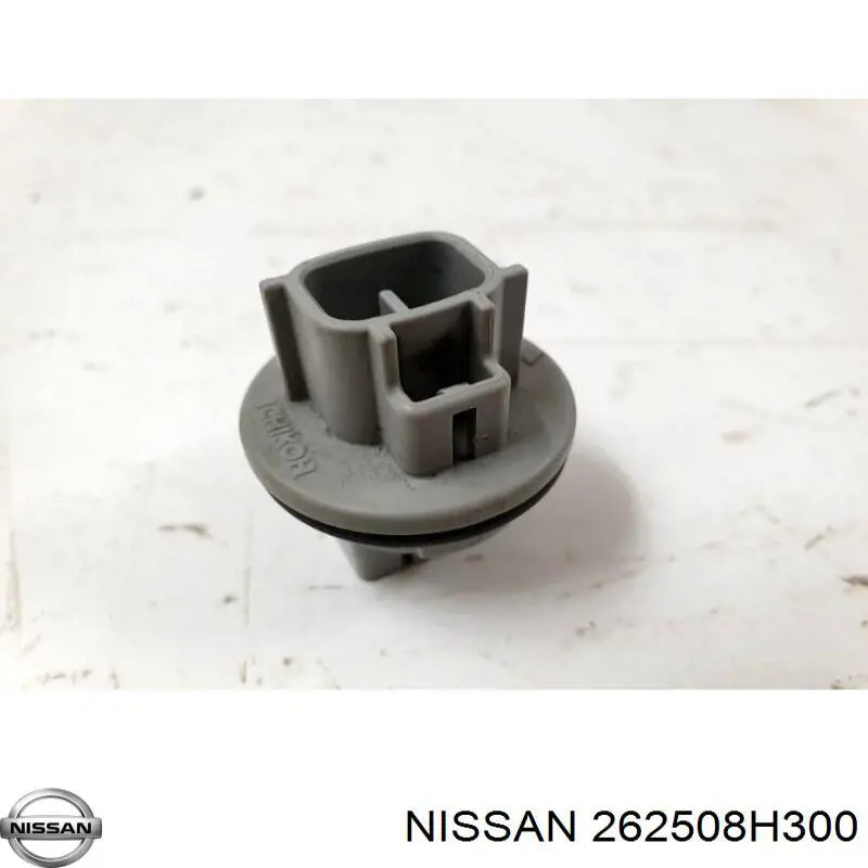 262508H300 Nissan/Infiniti 