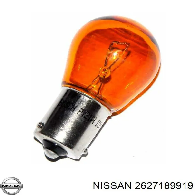 2627189919 Nissan/Infiniti 