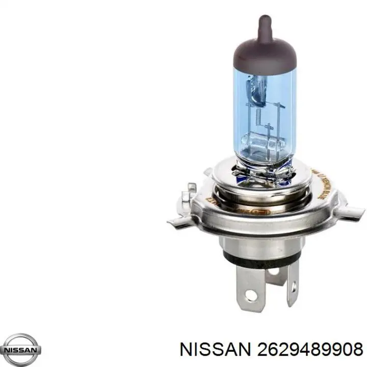  2629489908 Nissan