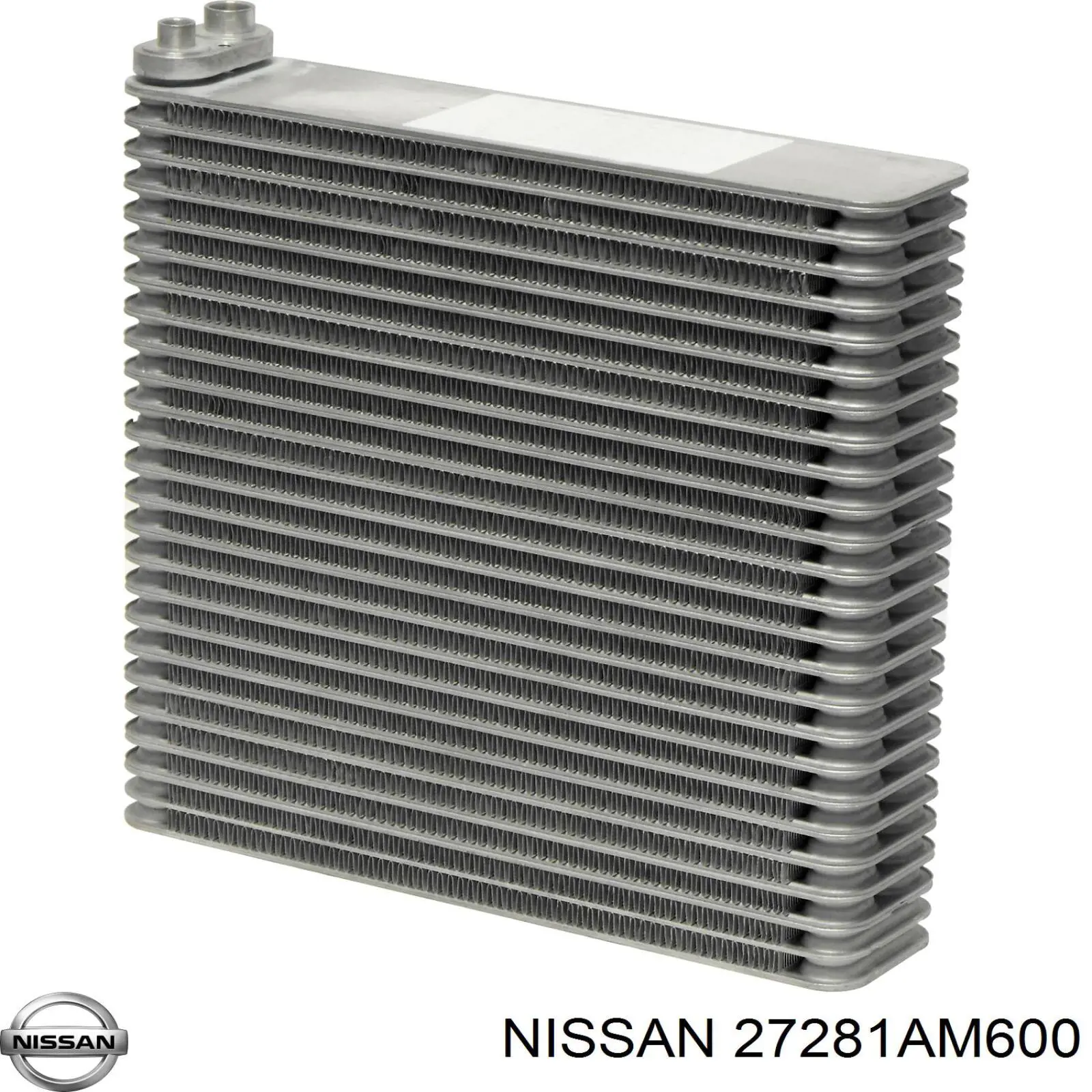 Випаровувач кондиціонера Nissan/Infiniti 27281AM600 ціна, від 35.47 USD