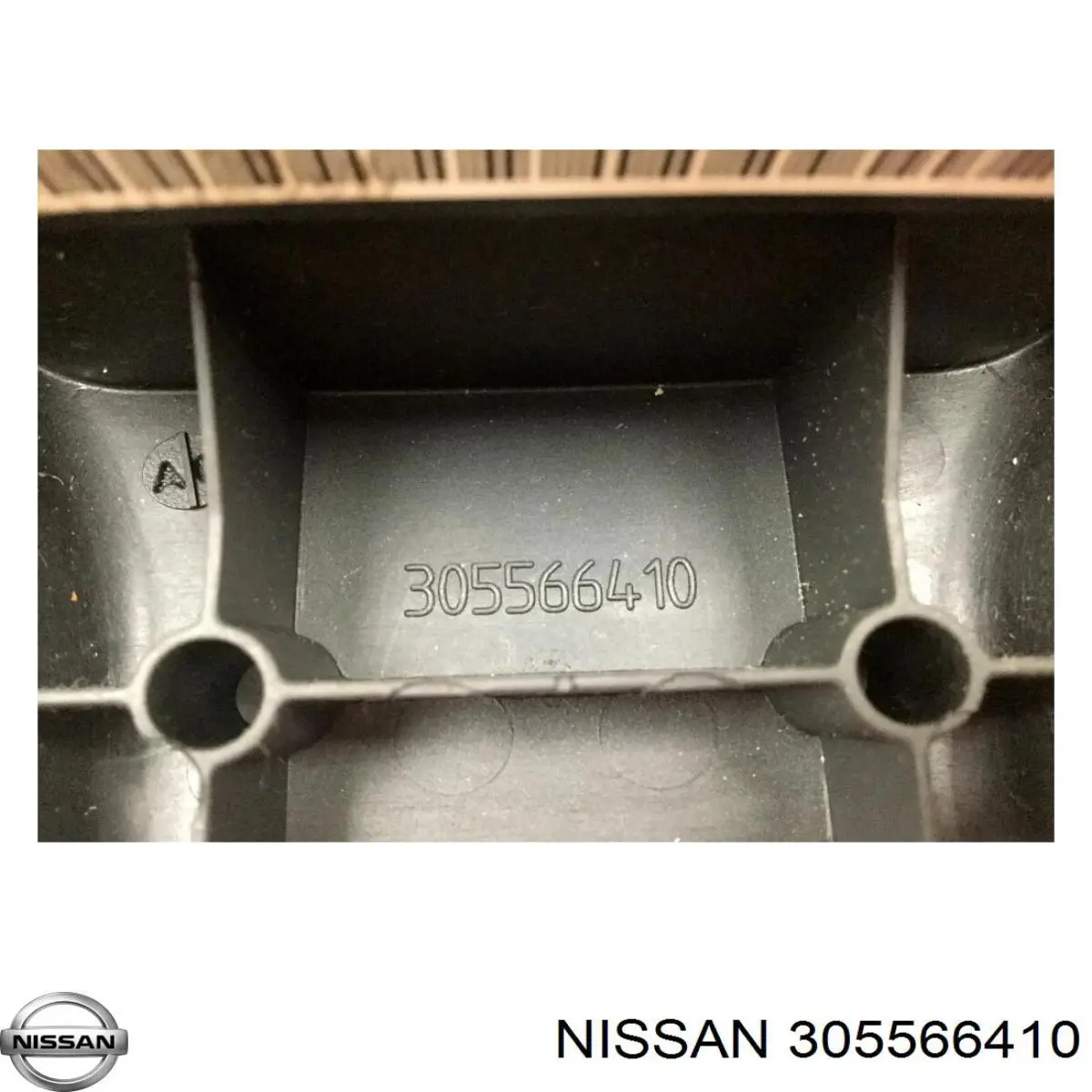 305566410 Nissan/Infiniti 