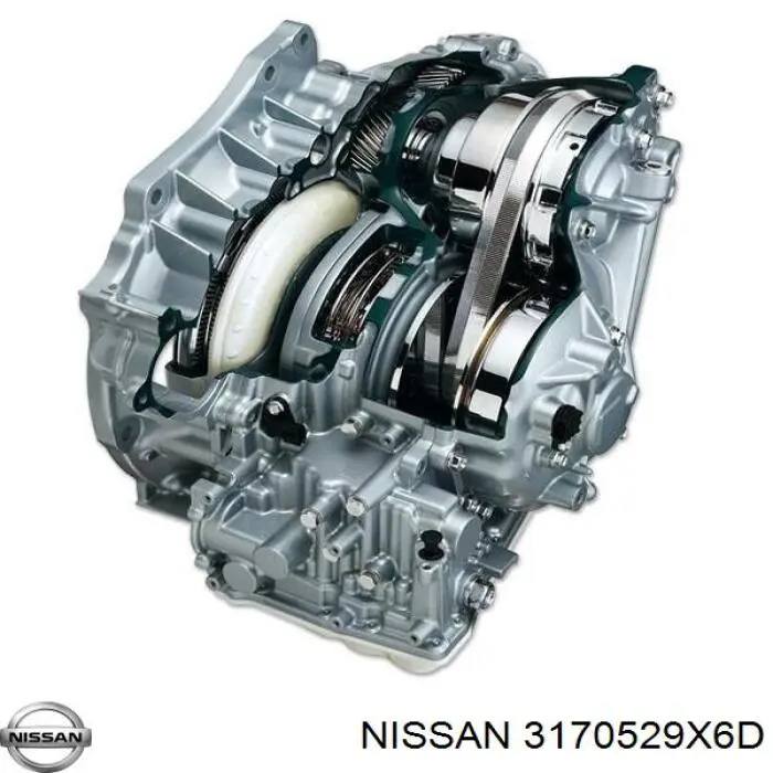  3170529X6D Nissan