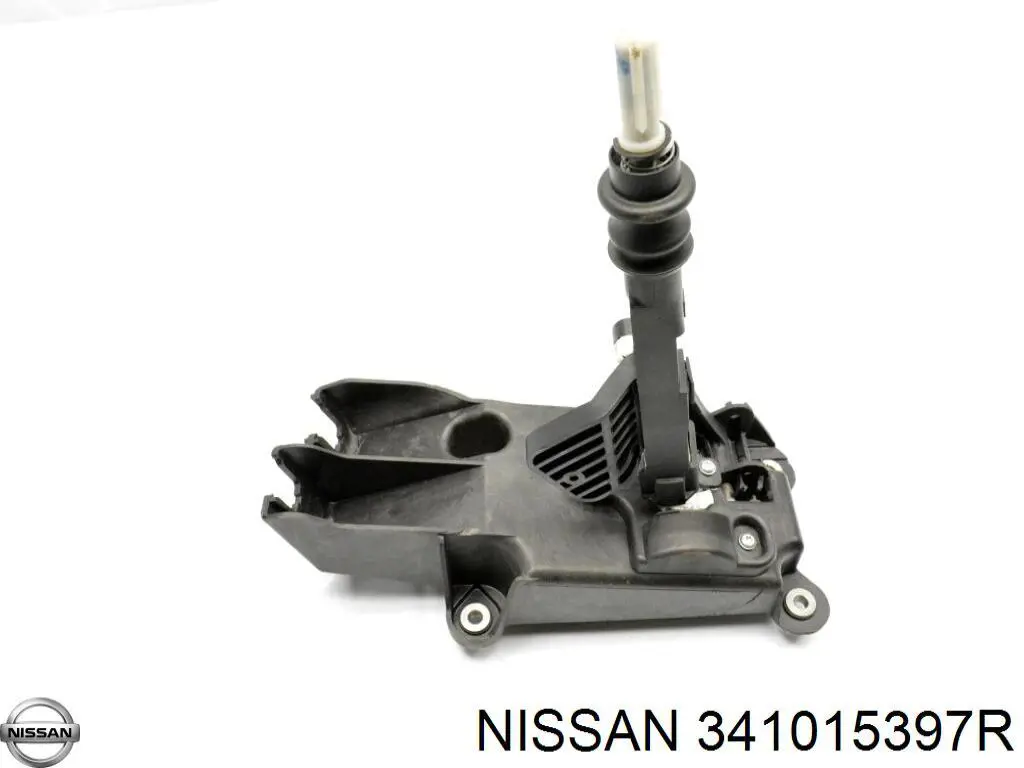 341015397R Nissan/Infiniti 