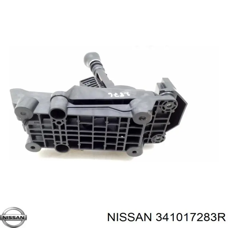 341017283R Nissan/Infiniti 