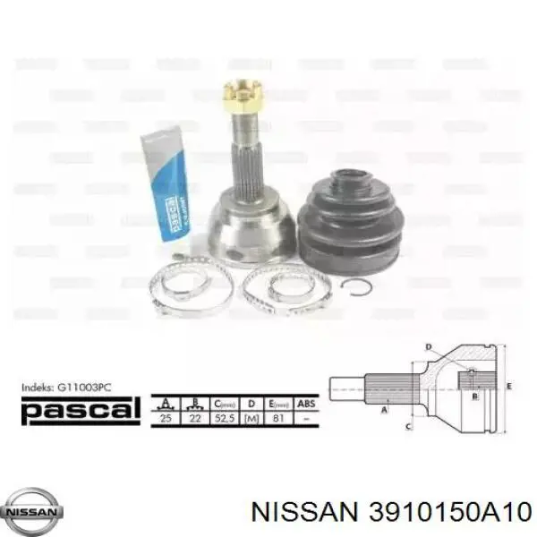  3910050A10 Nissan