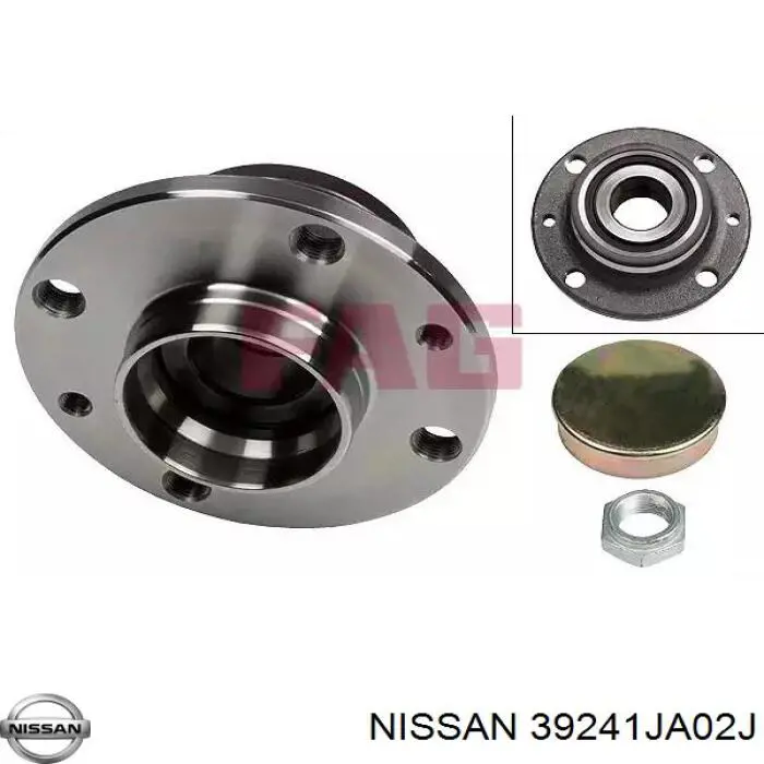 C9BDAJA02L Nissan/Infiniti 