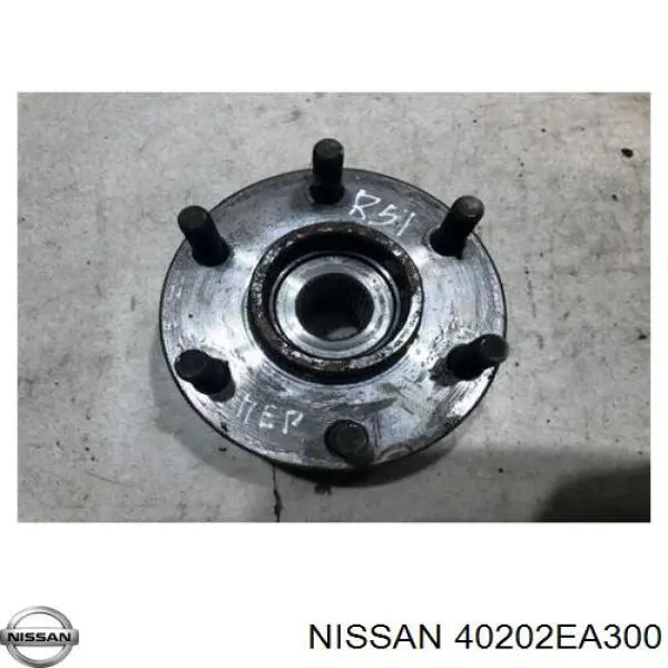 40202EA300 Nissan/Infiniti Маточина (передня)