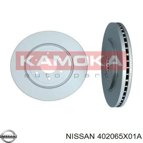 402065X01A Nissan диск гальмівний передній