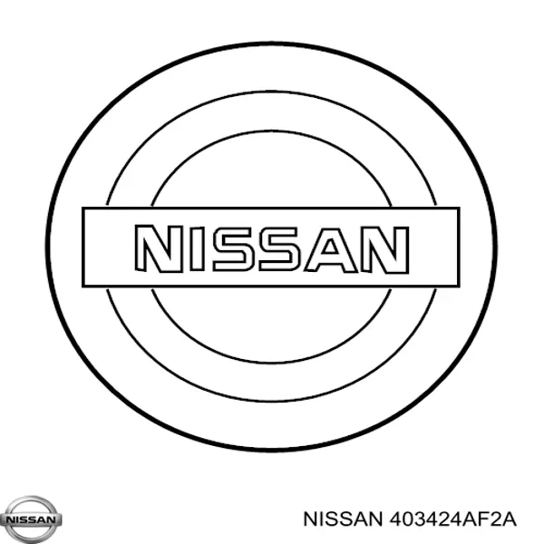 403424AF2A Nissan/Infiniti 