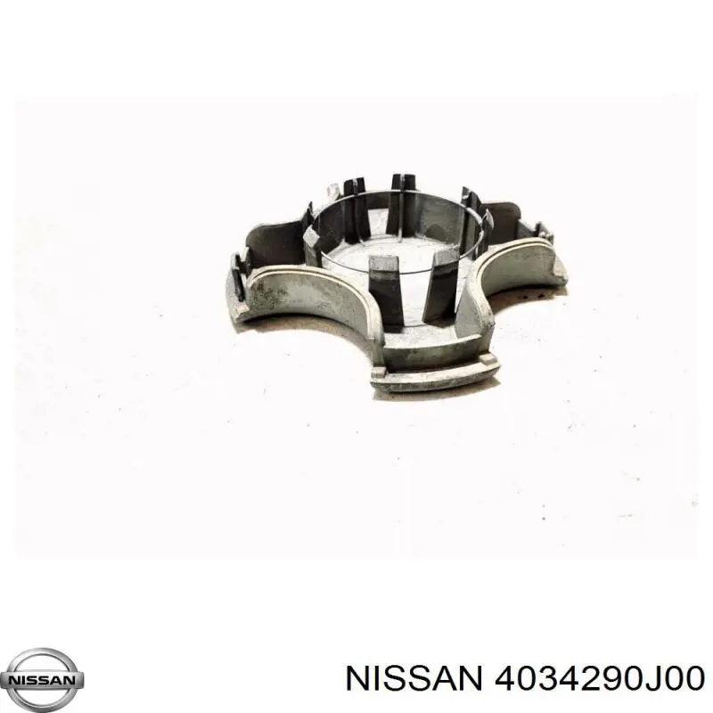  4034290J00 Nissan