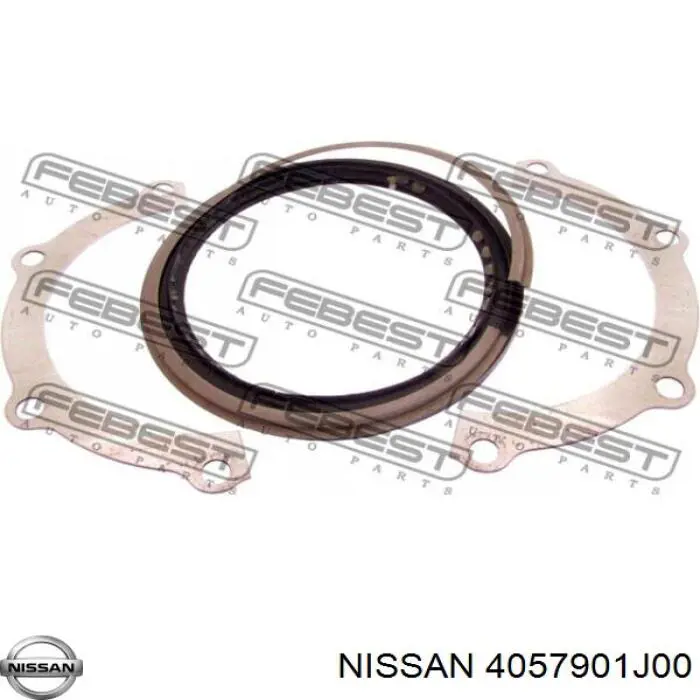 Купити 4057901J00 Nissan/Infiniti Сальник переднього поворотного кулака