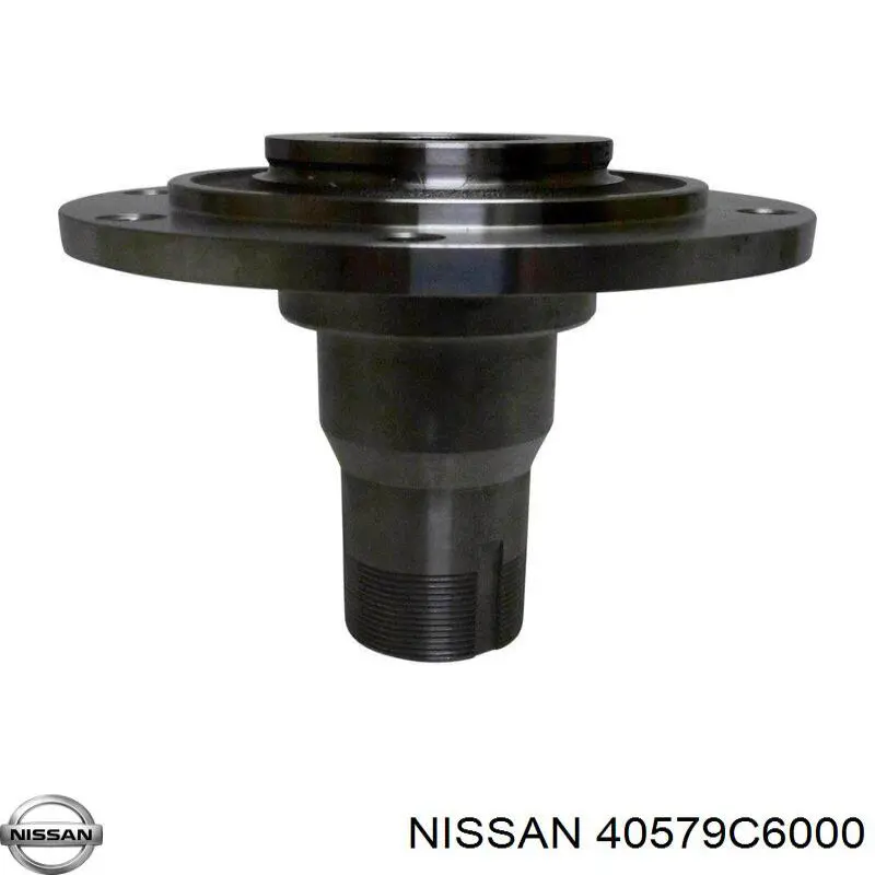 Купити 40579C6000 Nissan/Infiniti Сальник переднього поворотного кулака