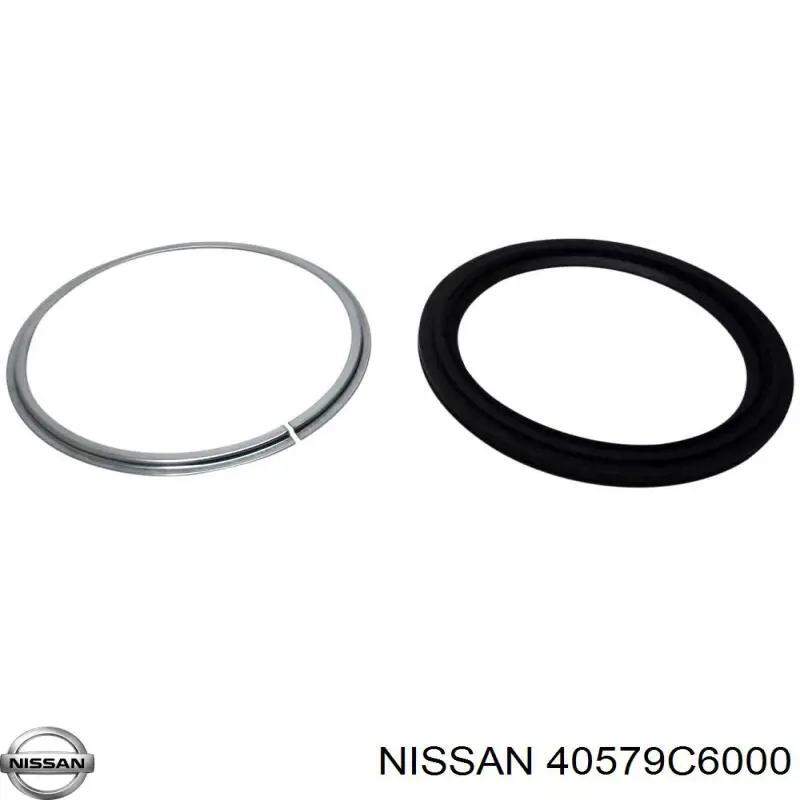 Сальник переднього поворотного кулака Nissan/Infiniti 40579C6000 ціна, від 18.76 USD