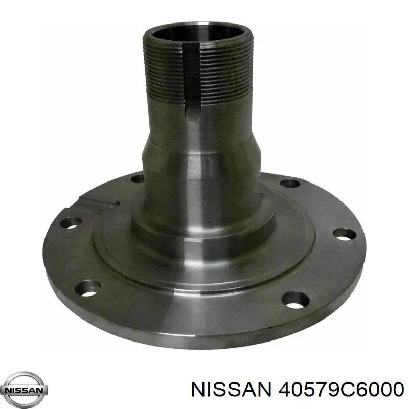 40579C6000 Nissan/Infiniti Сальник переднього поворотного кулака
