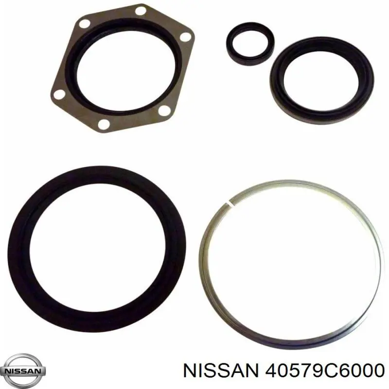 Сальник переднього поворотного кулака 40579C6000 Nissan/Infiniti