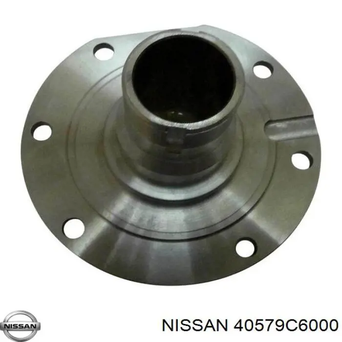 Сальник переднього поворотного кулака Nissan/Infiniti 40579C6000 ціна, від 19.13 USD