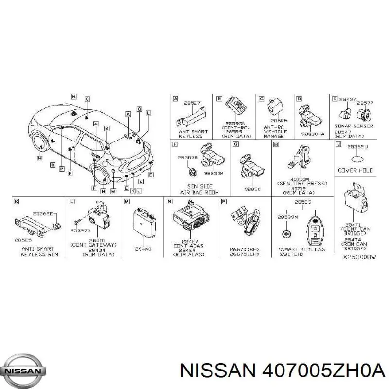  407005ZH0A Nissan