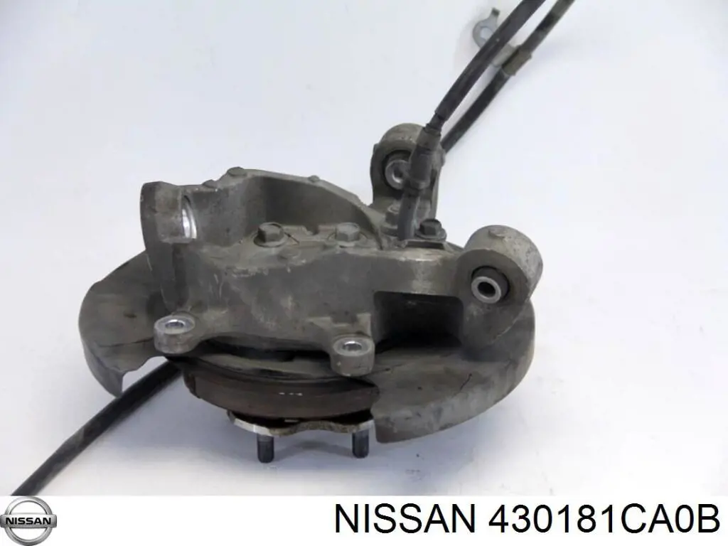 430181CA0B Nissan цапфа - поворотний кулак задній, правий