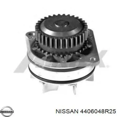 Колодки гальмові задні, барабанні 4406048R25 Nissan