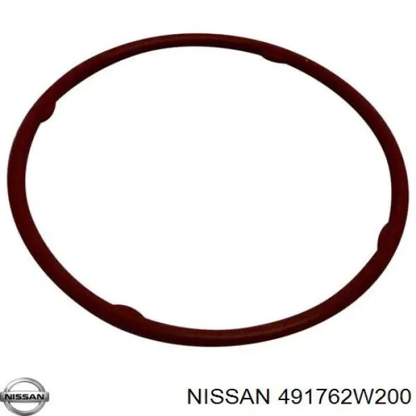  491762W200 Nissan