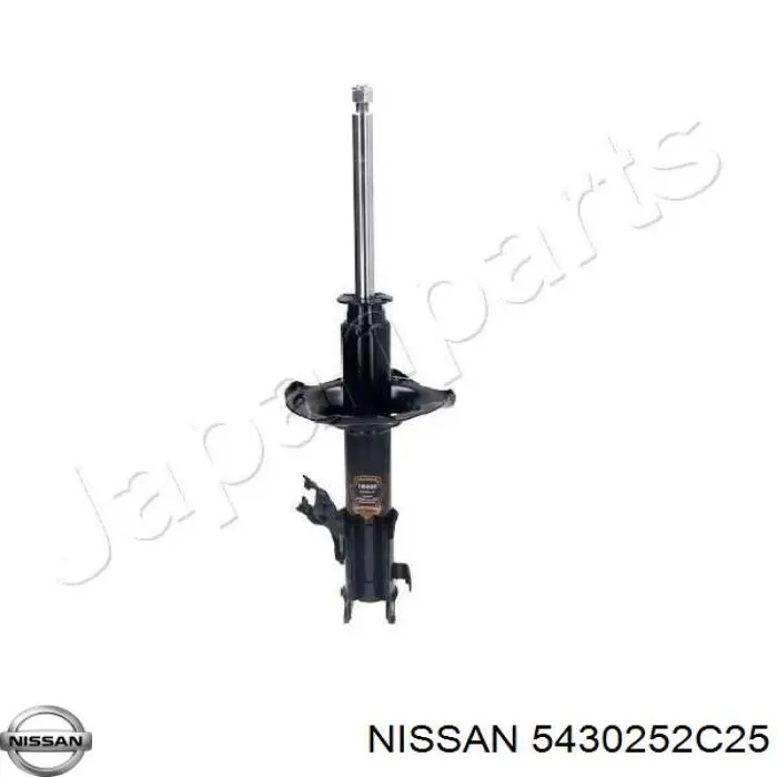  5430252C25 Nissan