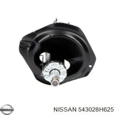 Амортизатор передній, правий Nissan/Infiniti 543028H625 ціна, від 35.54 USD