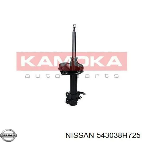 Амортизатор передньої підвіски, лівий Nissan/Infiniti 543038H725 ціна, від 27.86 USD