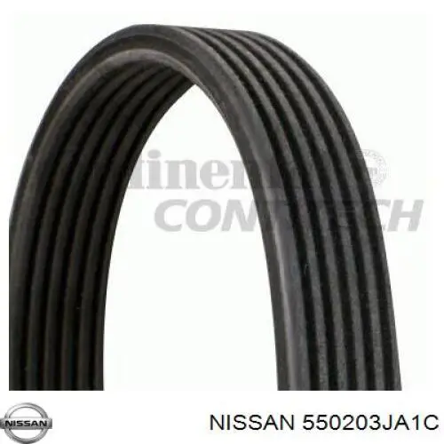 Задні пружини 550203JA1C Nissan/Infiniti