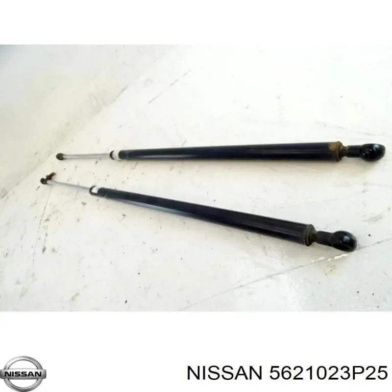 Амортизатор задній 5621023P25 Nissan/Infiniti