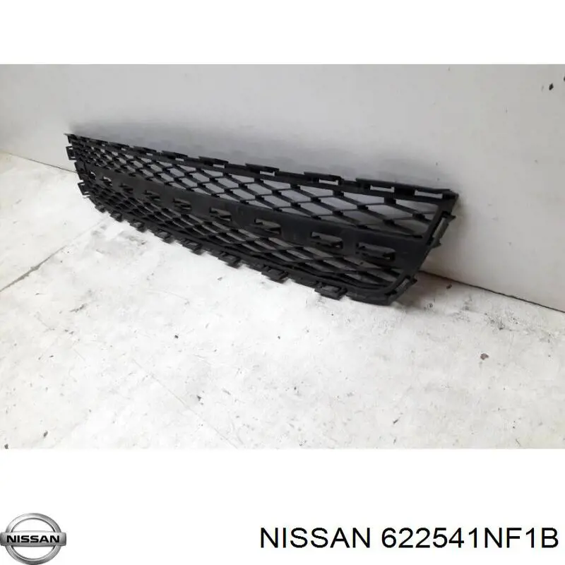 622541NF1B Nissan/Infiniti 