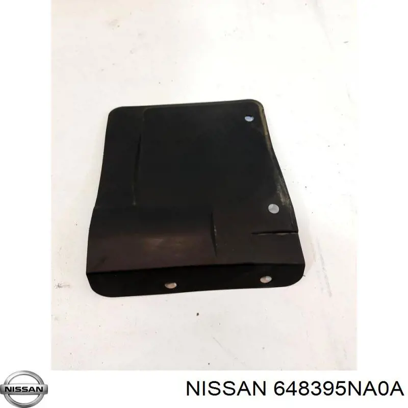648395NA0A Nissan/Infiniti 