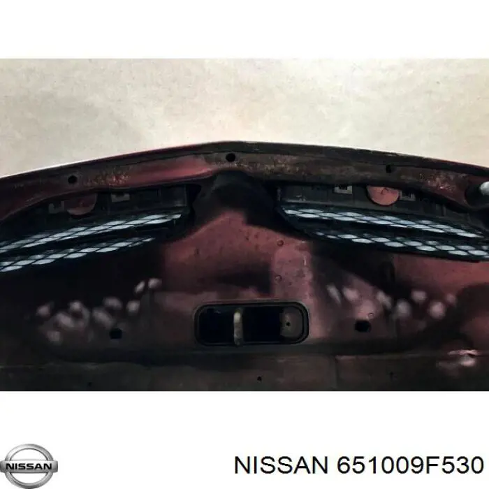 Купити 651009F531 Nissan/Infiniti Капот