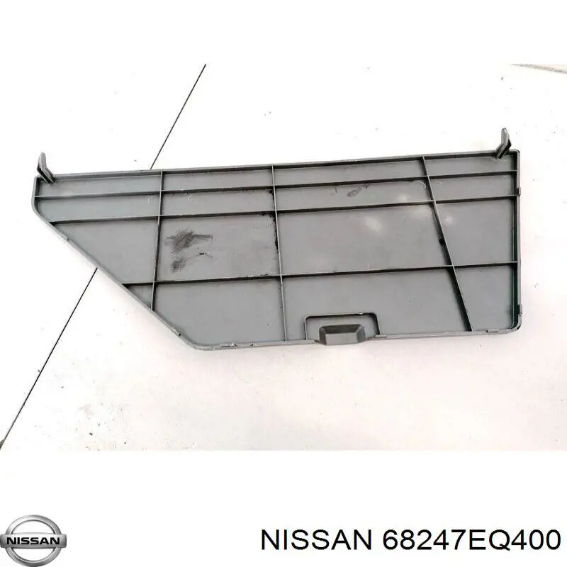  Nissan/Infiniti 68247EQ400