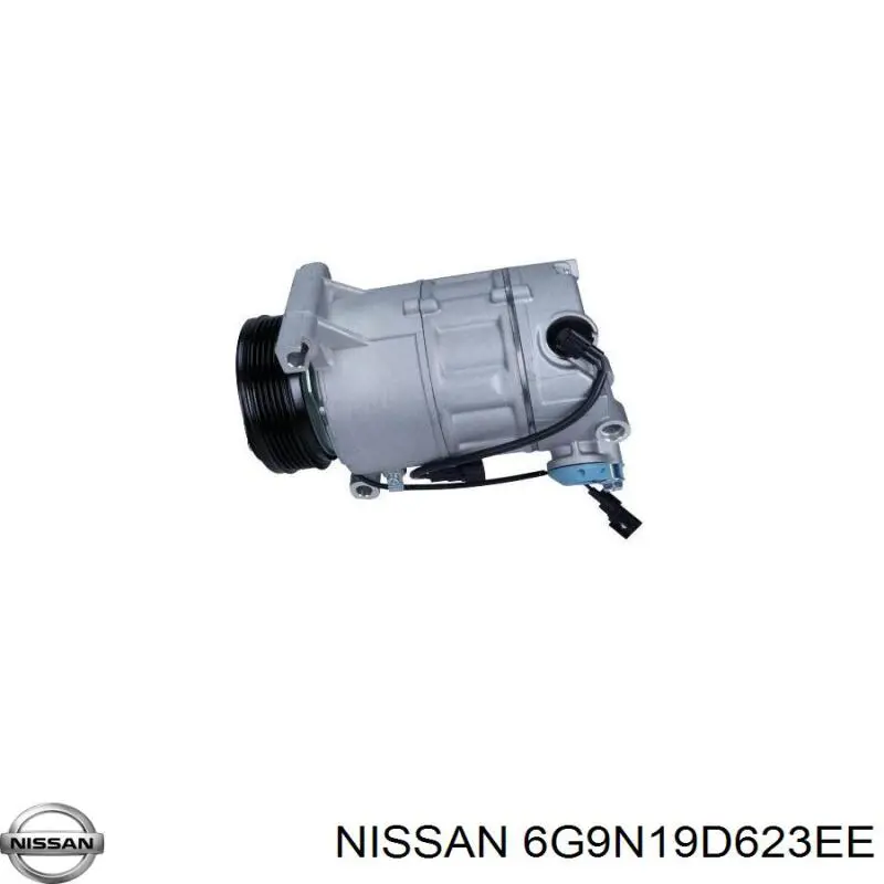  6G9N19D623EE Nissan